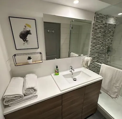 Apartment Le Douillet - Parking Gratuit - Centre