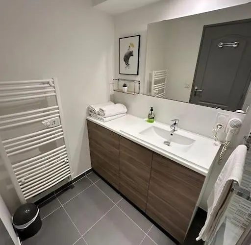 Apartment Le Douillet - Parking Gratuit - Centre Pau